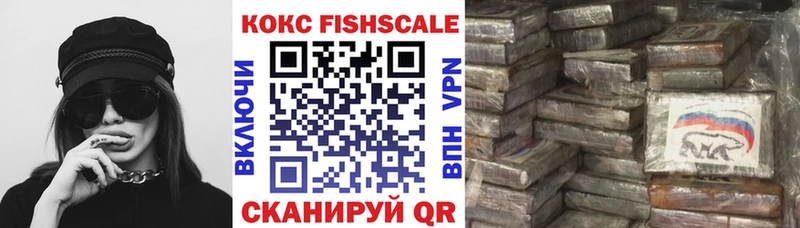 Cocaine FishScale  Купить закладки  Кудрово 
