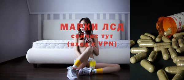 СК Надым