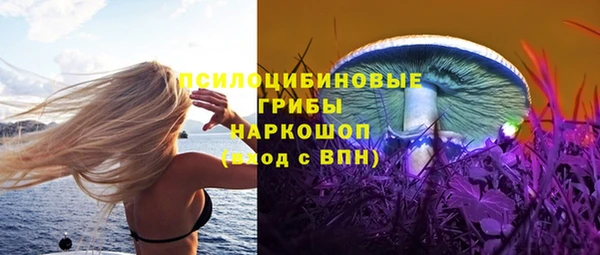 СК Надым