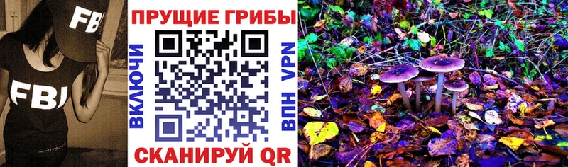 Купить  Кудрово  Галлюциногенные грибы GOLDEN TEACHER 